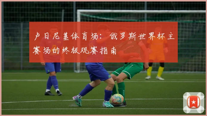 卢日尼基体育场:俄罗斯世界杯主赛场的终极观赛指南