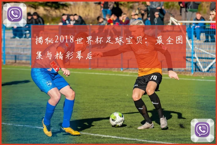 揭秘2018世界杯足球宝贝：最全图集与精彩幕后
