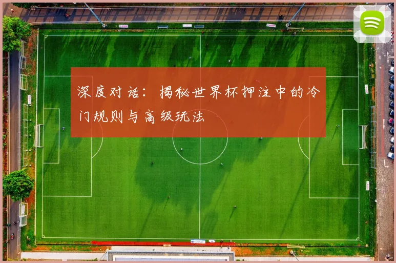深度对话:揭秘世界杯押注中的冷门规则与高级玩法