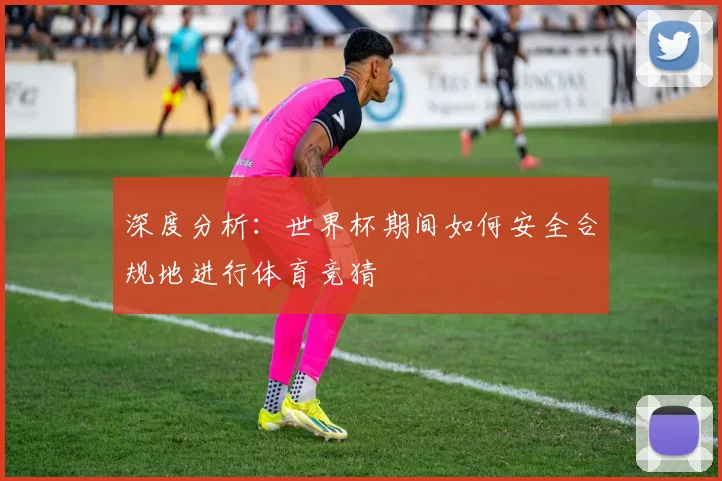 深度分析：世界杯期间如何安全合规地进行体育竞猜