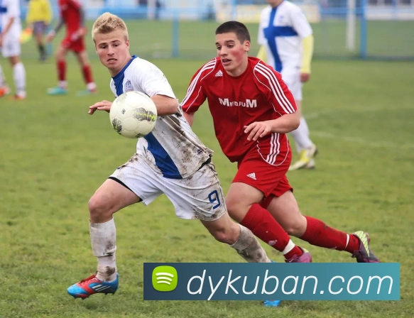 多媒体互动体验